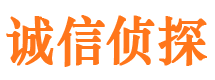 鄂城市私家侦探